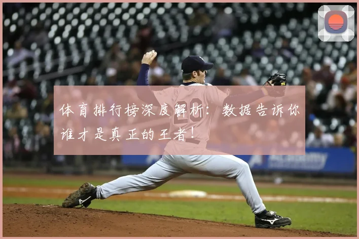 体育排行榜深度解析：数据告诉你谁才是真正的王者！