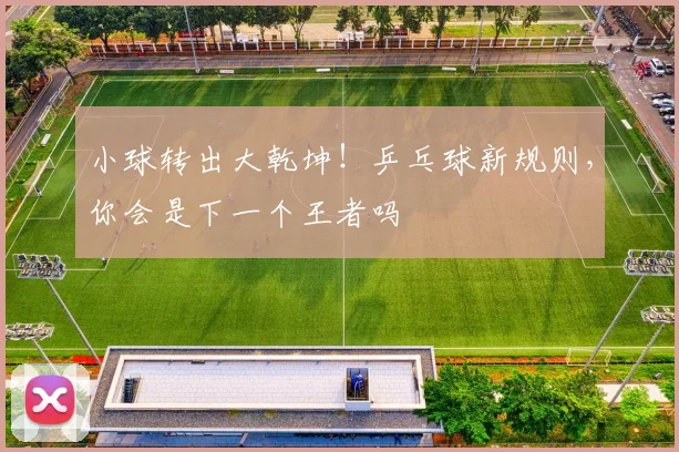 小球转出大乾坤!乒乓球新规则,你会是下一个王者吗