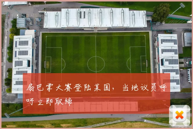 扇巴掌大赛登陆某国,当地议员呼吁立即取缔