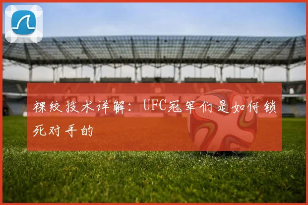 裸绞技术详解：UFC冠军们是如何锁死对手的